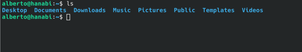 Output del comando ls nella home di un sistema appena installato